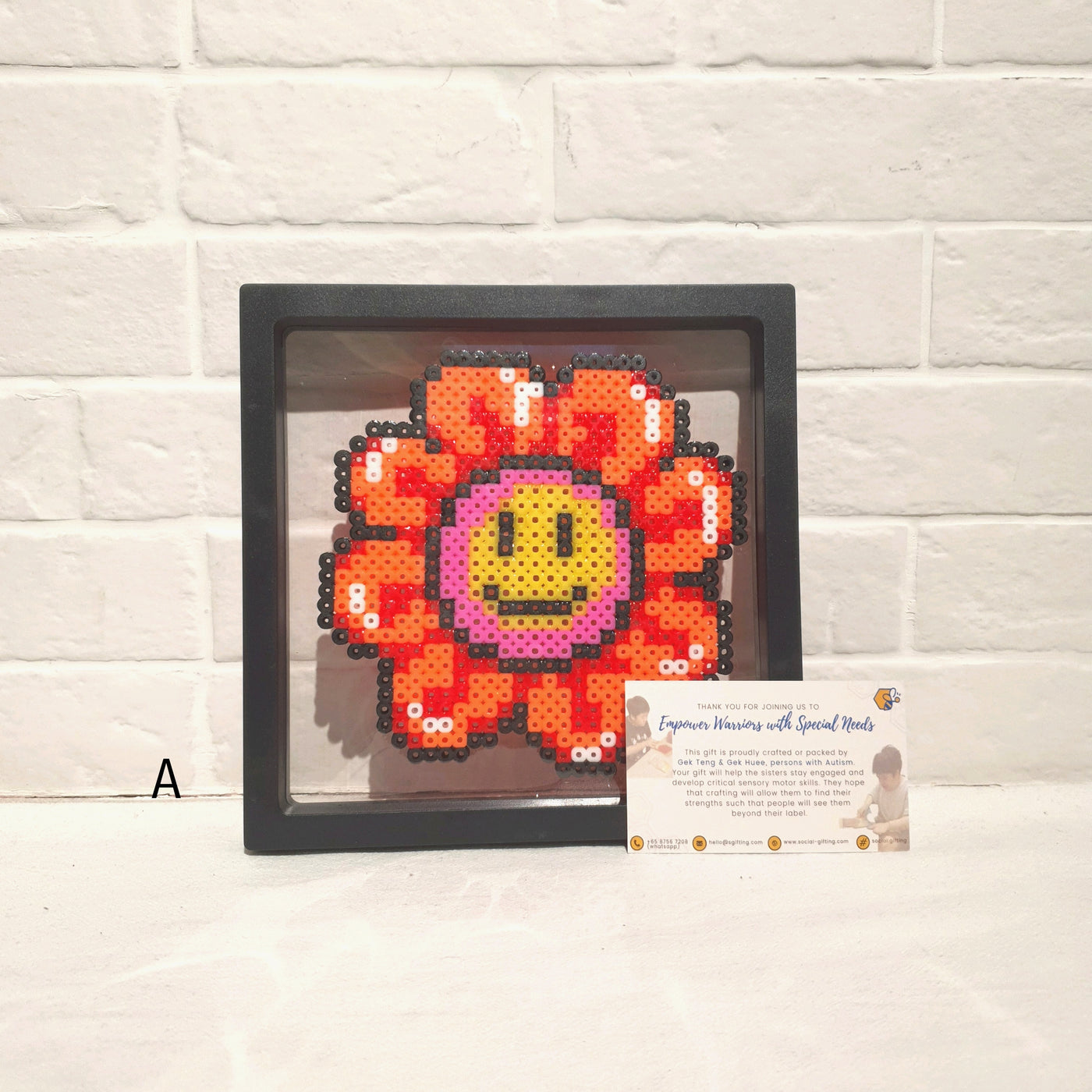 Hama Beads with Plastic Frame