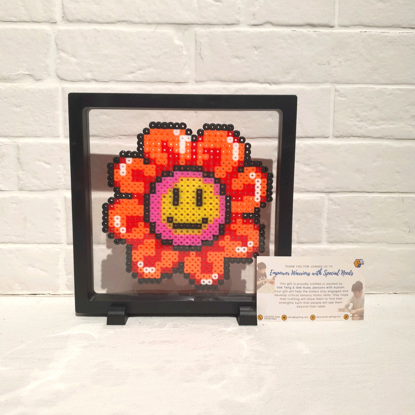 Hama Beads with Plastic Frame