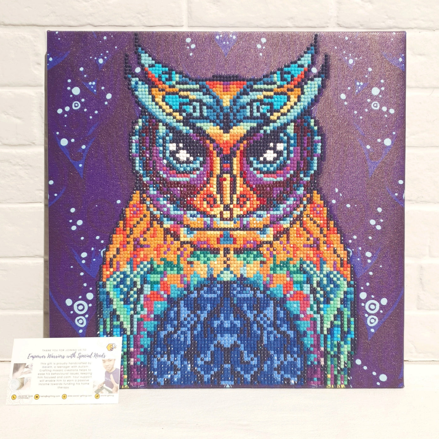 Owl Diamond Art on Canvas