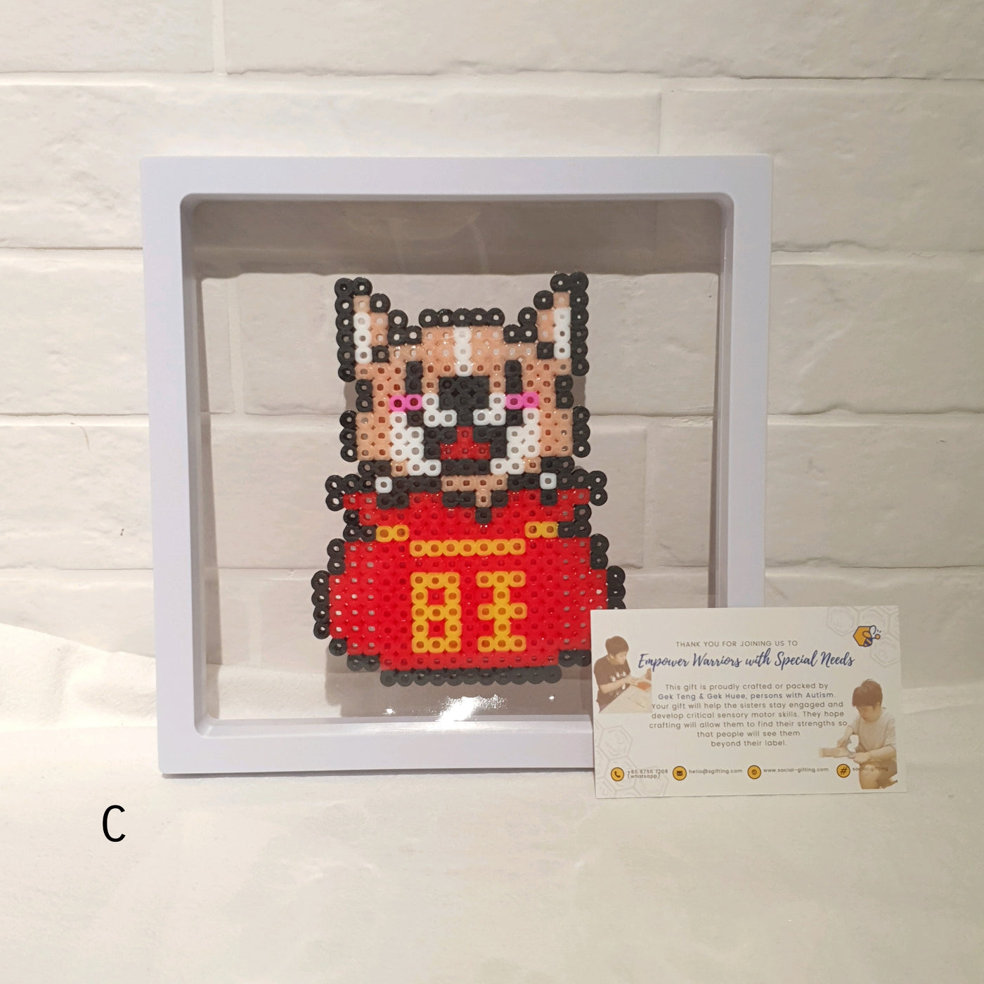 Hama Beads with Plastic Frame